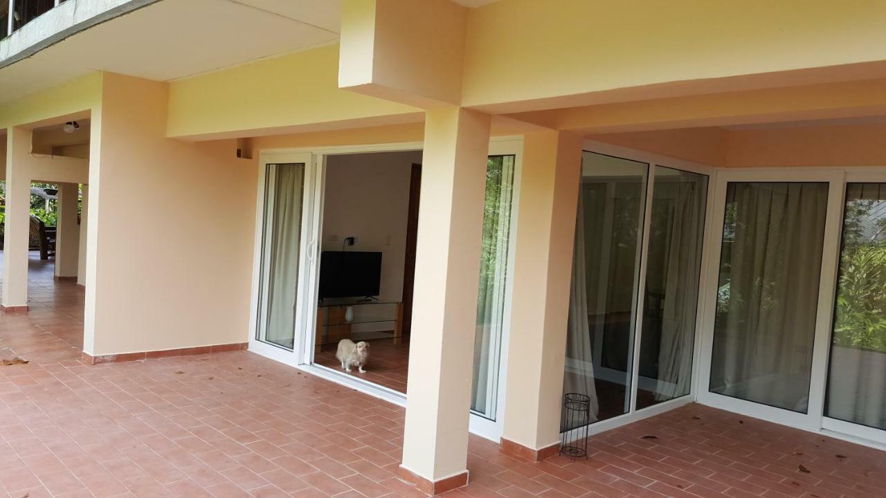 Gamboa Apartment Toucan Y Studio Neque Екстер'єр фото